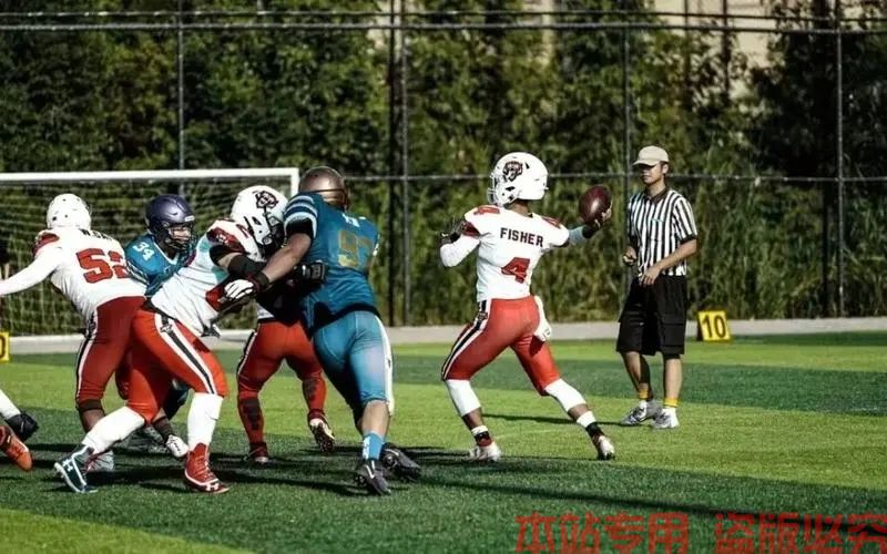 DUOMI SPORTS 官方正版网站